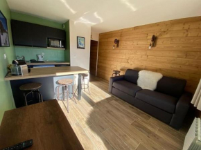 Au pied des pistes avec parking Entièrement r��nové Huez